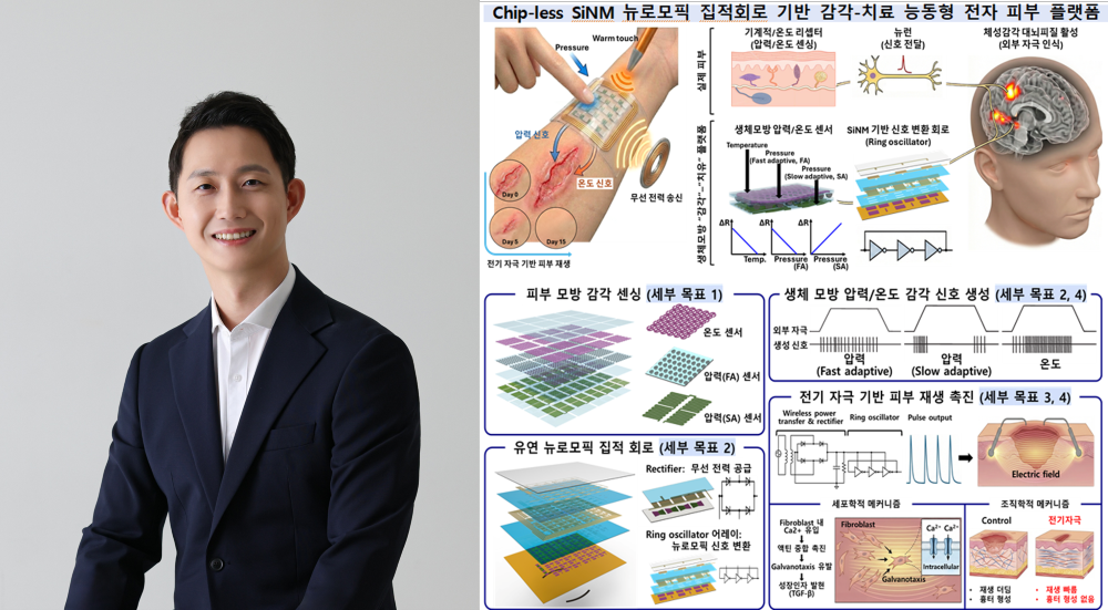 바이오메디컬공학부 강교원 교수, 한국연구재단 신진연구(유형 B) 선정 대표이미지