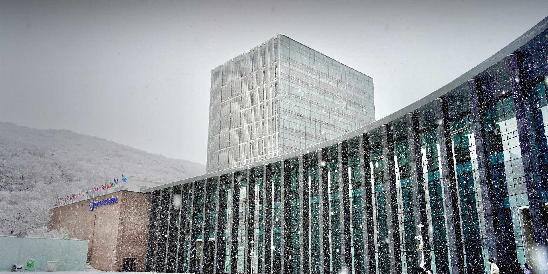 한국외대의 겨울